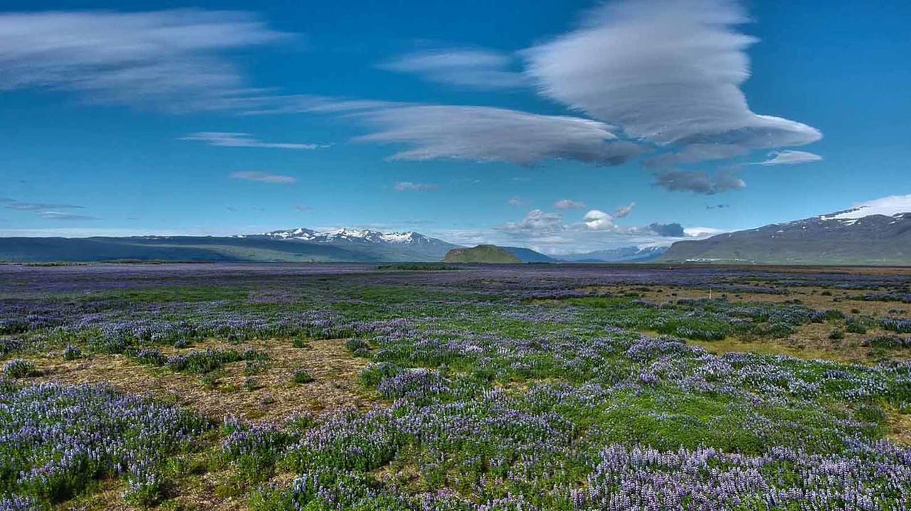 Hotel Selja Хвольсвёдлюр Экстерьер фото